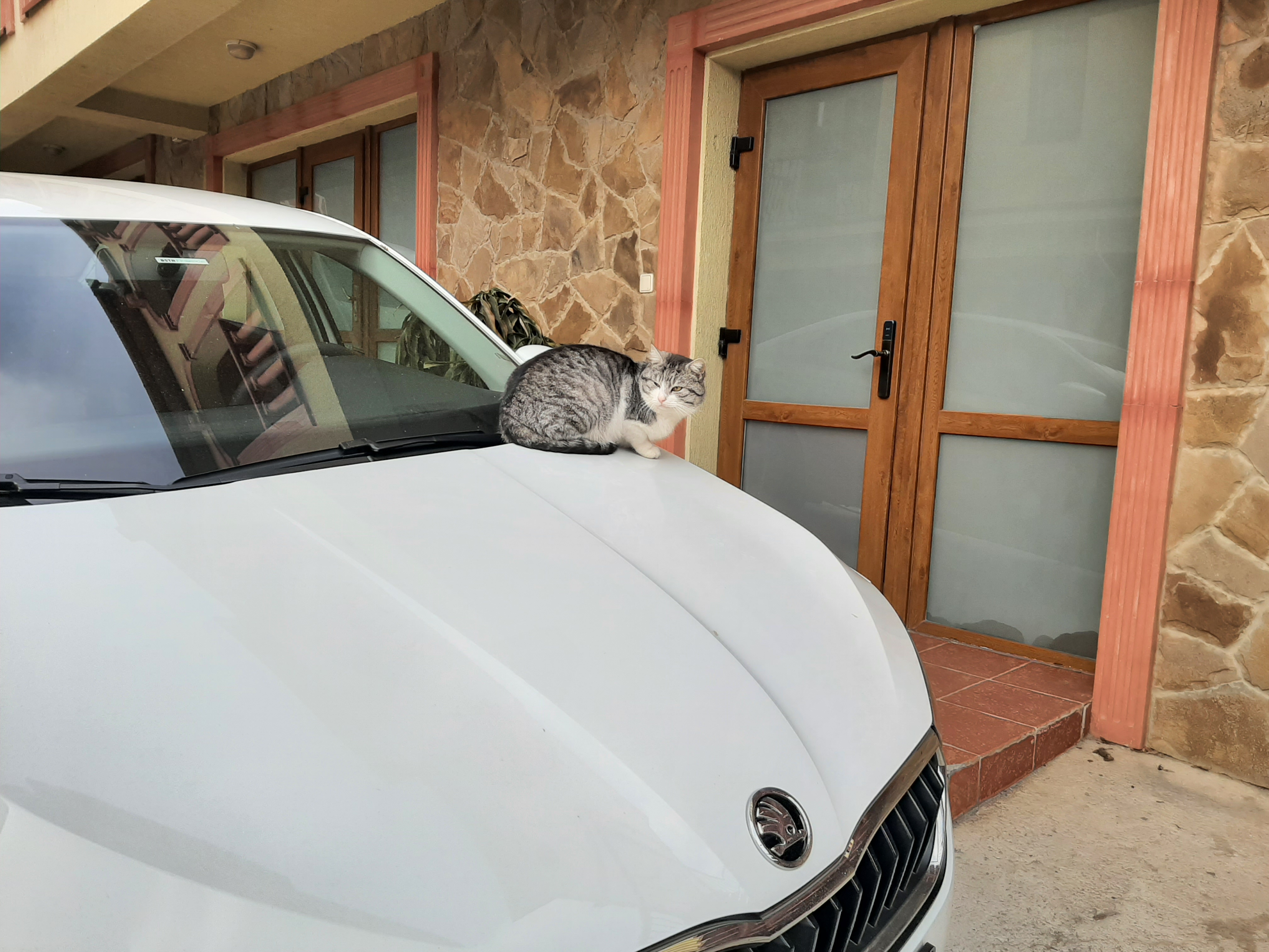 Фото Вилла Балгатура