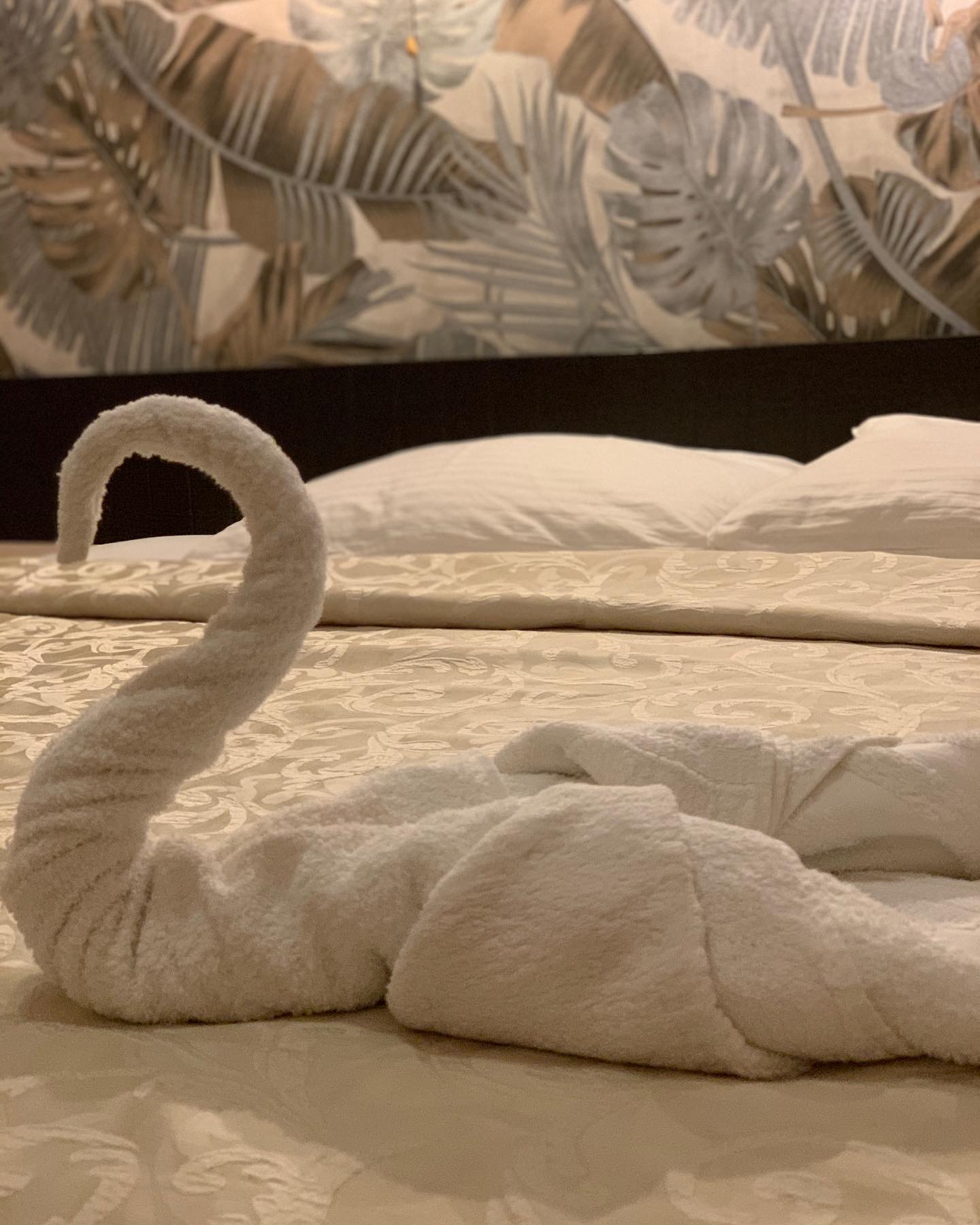 Фото Адмирал клуб