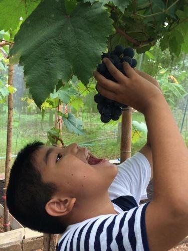 Фото Somphoch Garden