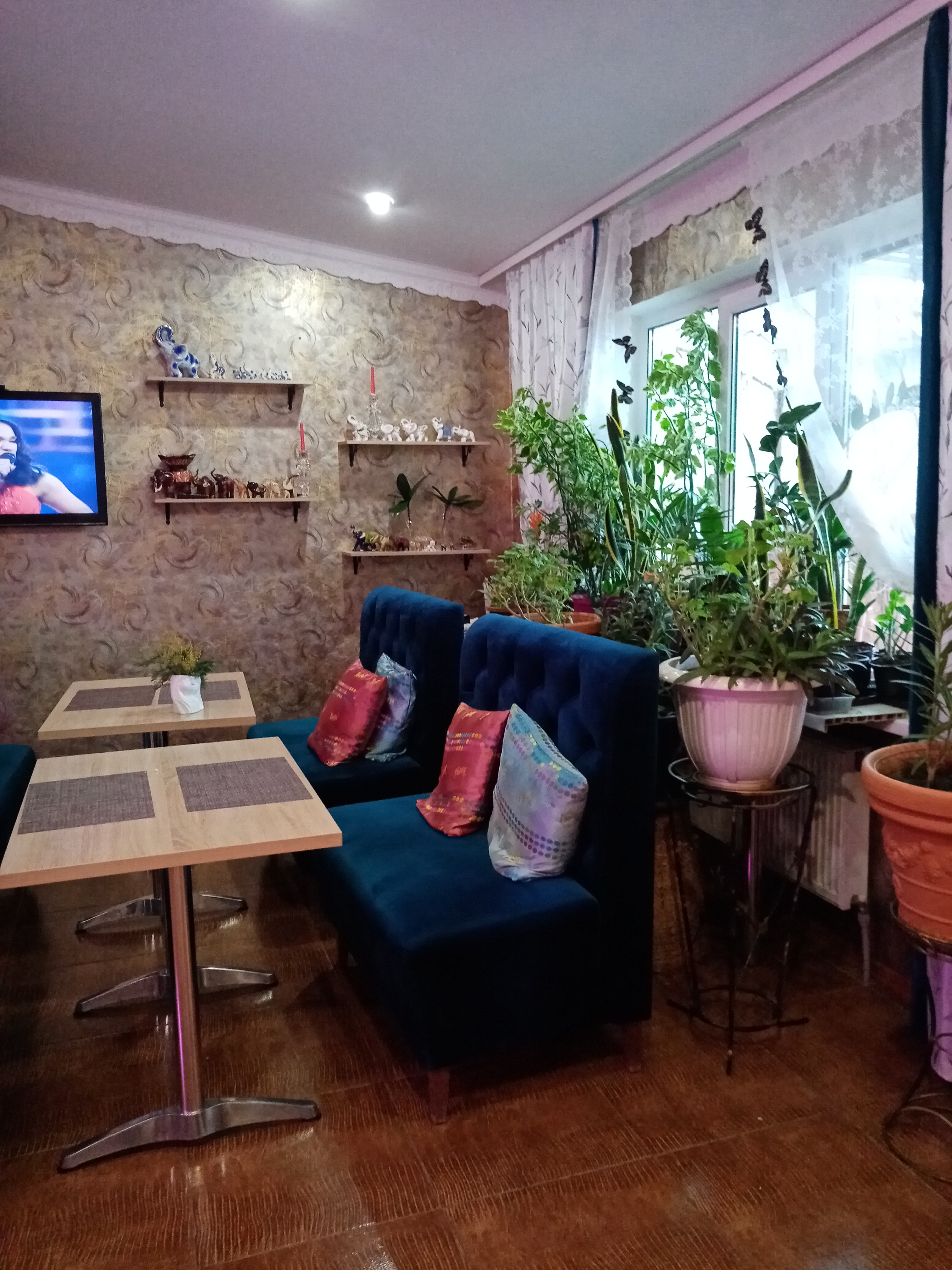 Фото Наталисити