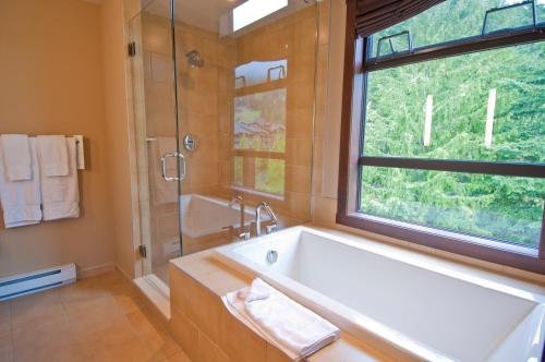 Фото Evolution Whistler