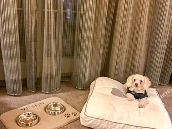 Фото The Westin Irving Convention Center at Las Colinas