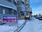Wildberries (selo Novaya Usman, Razdolnaya ulitsa, 1) ، نقطة تسليم
