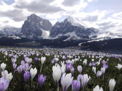 Фото Sensoria Dolomites
