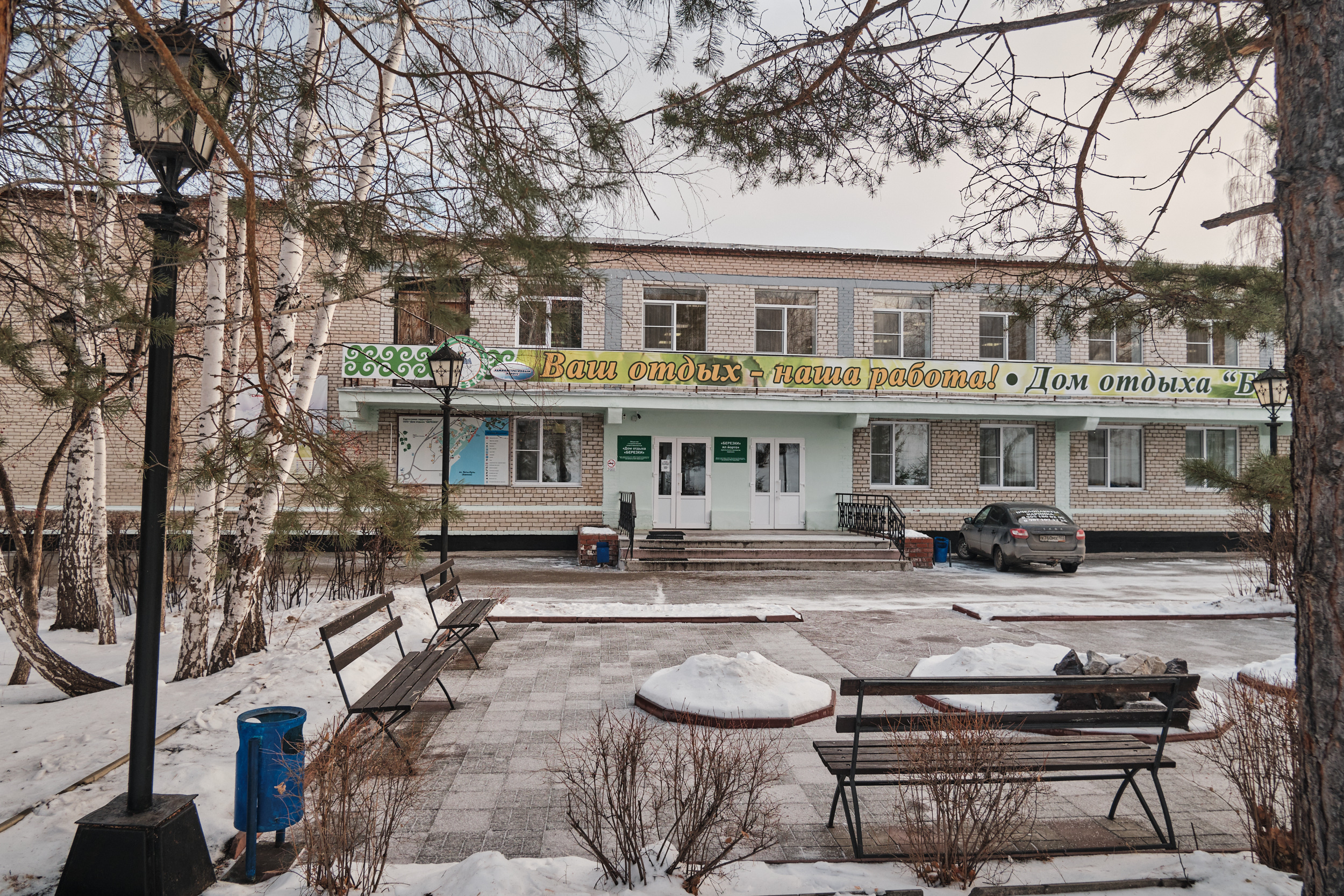 Фото Берёзки