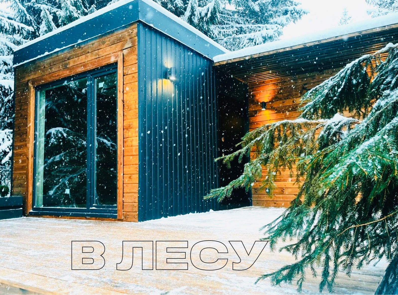 Фото Dom-v-lesu
