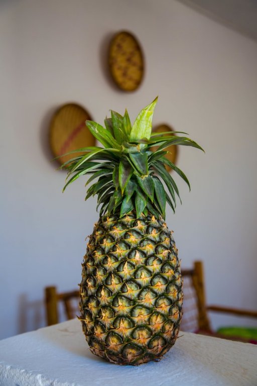 Фото Mbuyuni Beach Village