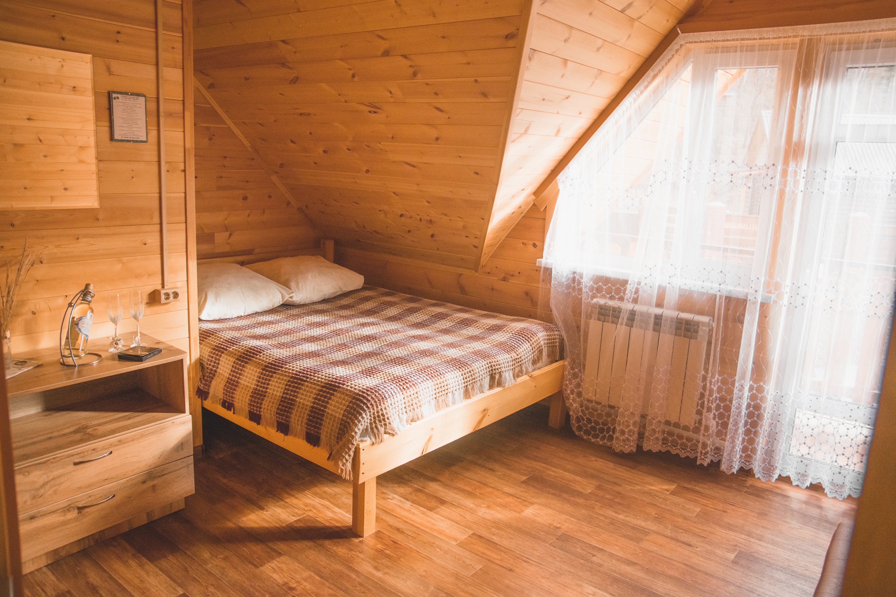 Фото Forest trail