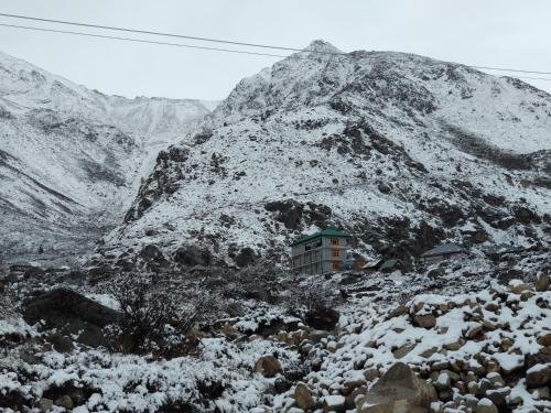 Фото The Wanderers Nest