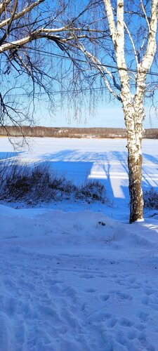 Мичуринский фото 8