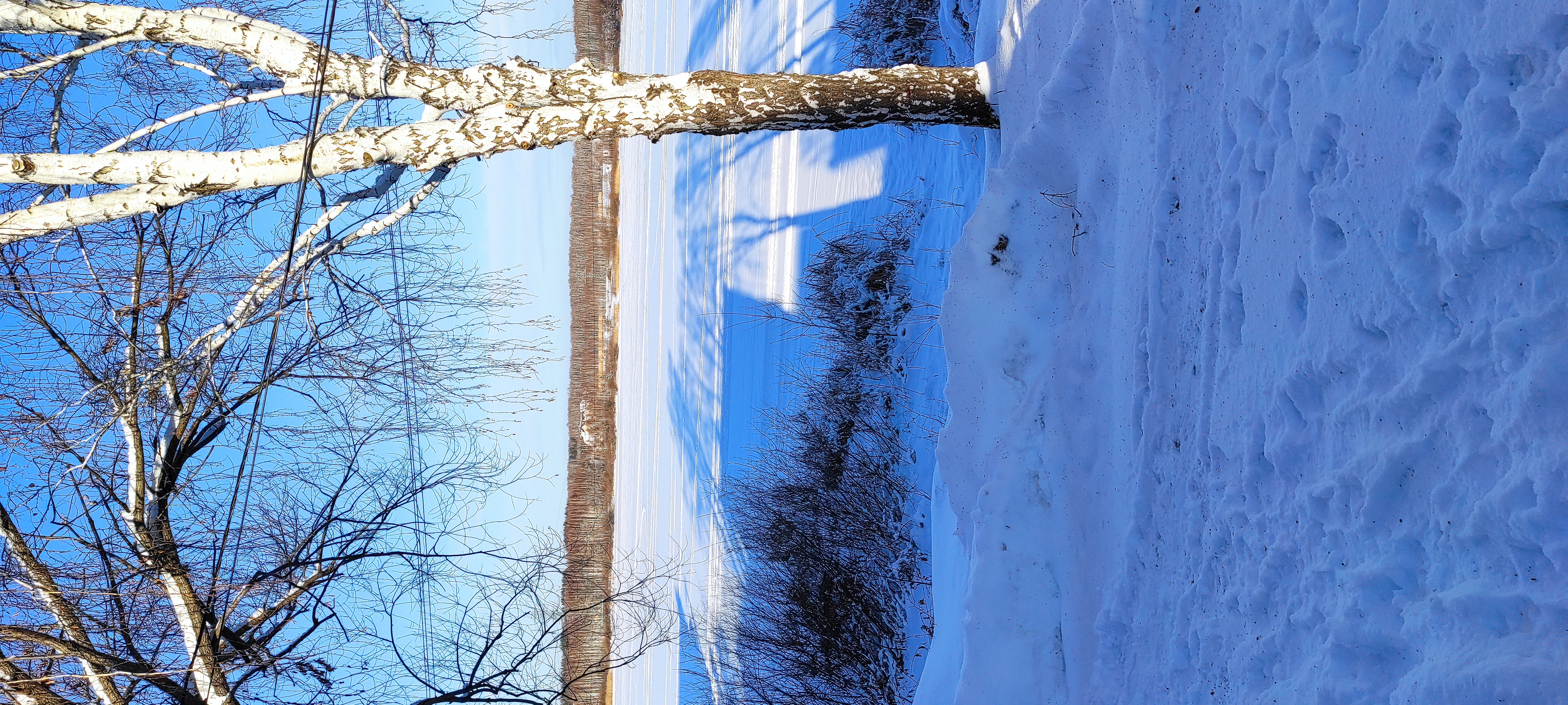 Фото Мичуринский