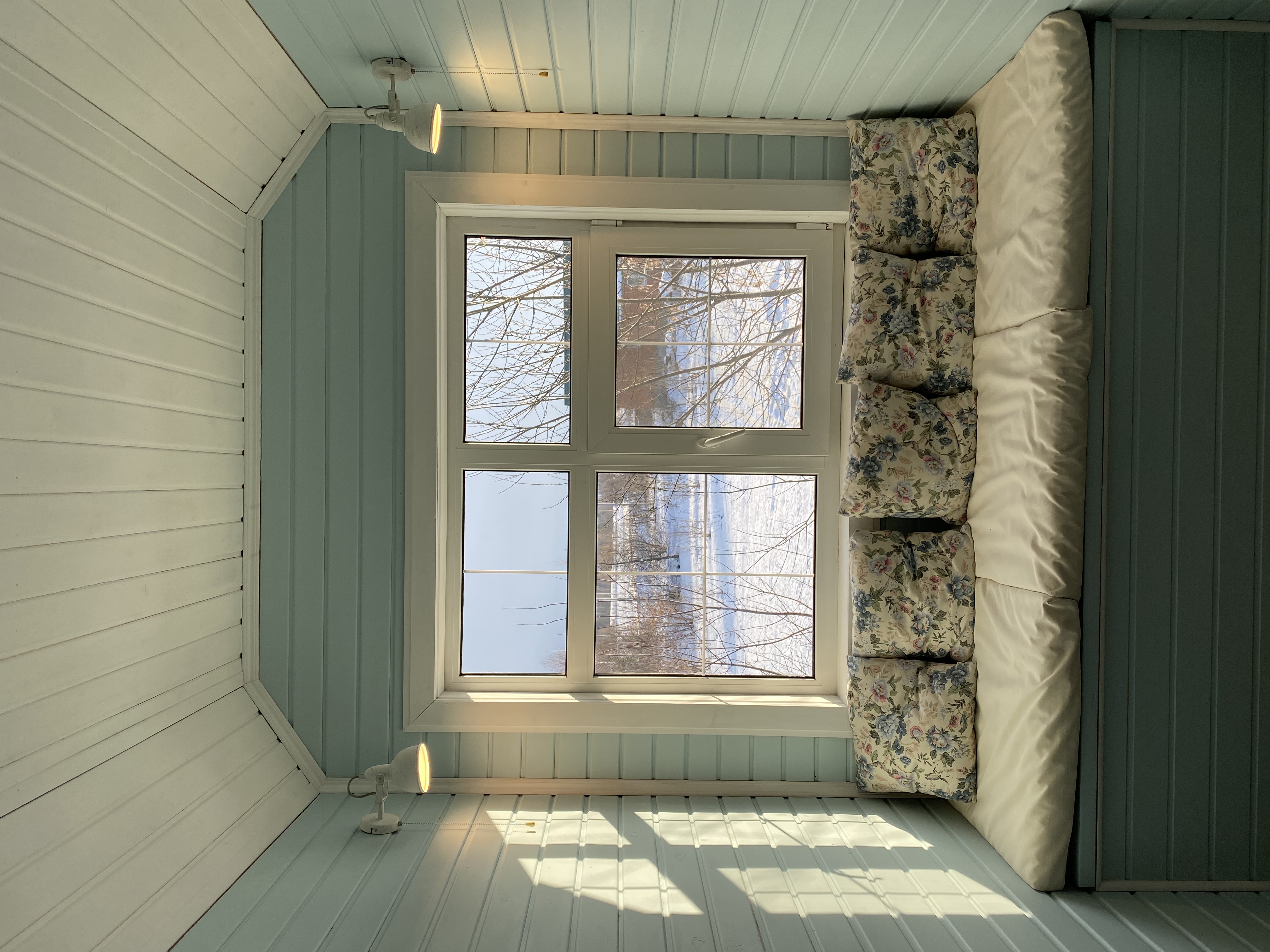 Фото Синяя синица