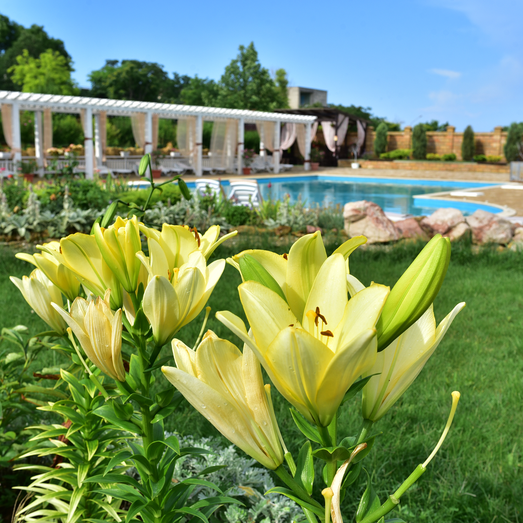 Фото Озеро сновидений