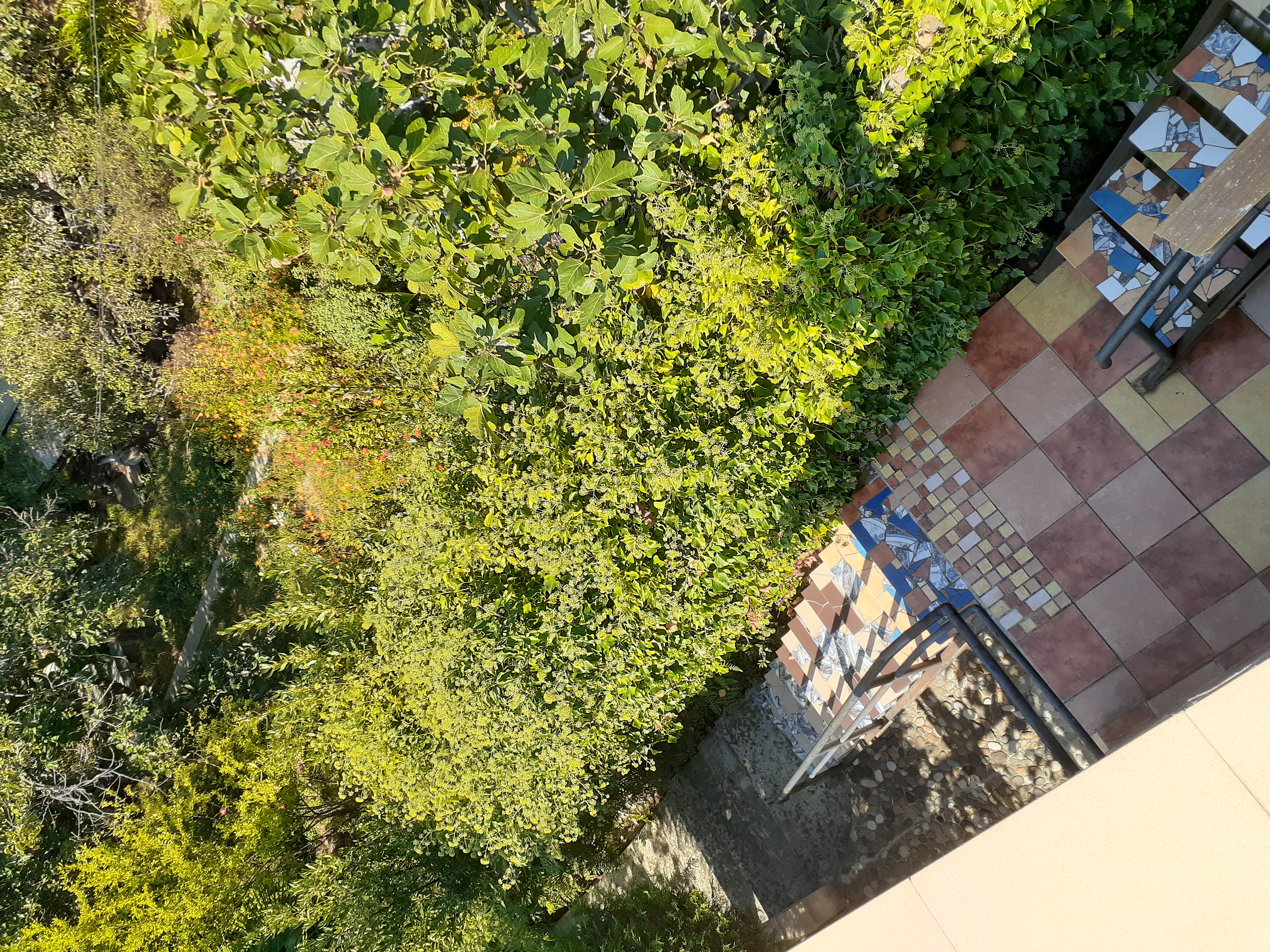 Фото Чемитоквадже Дом у моря