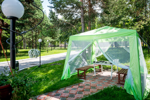 Гостиница Борвиха Hotel&SPA в Бердске