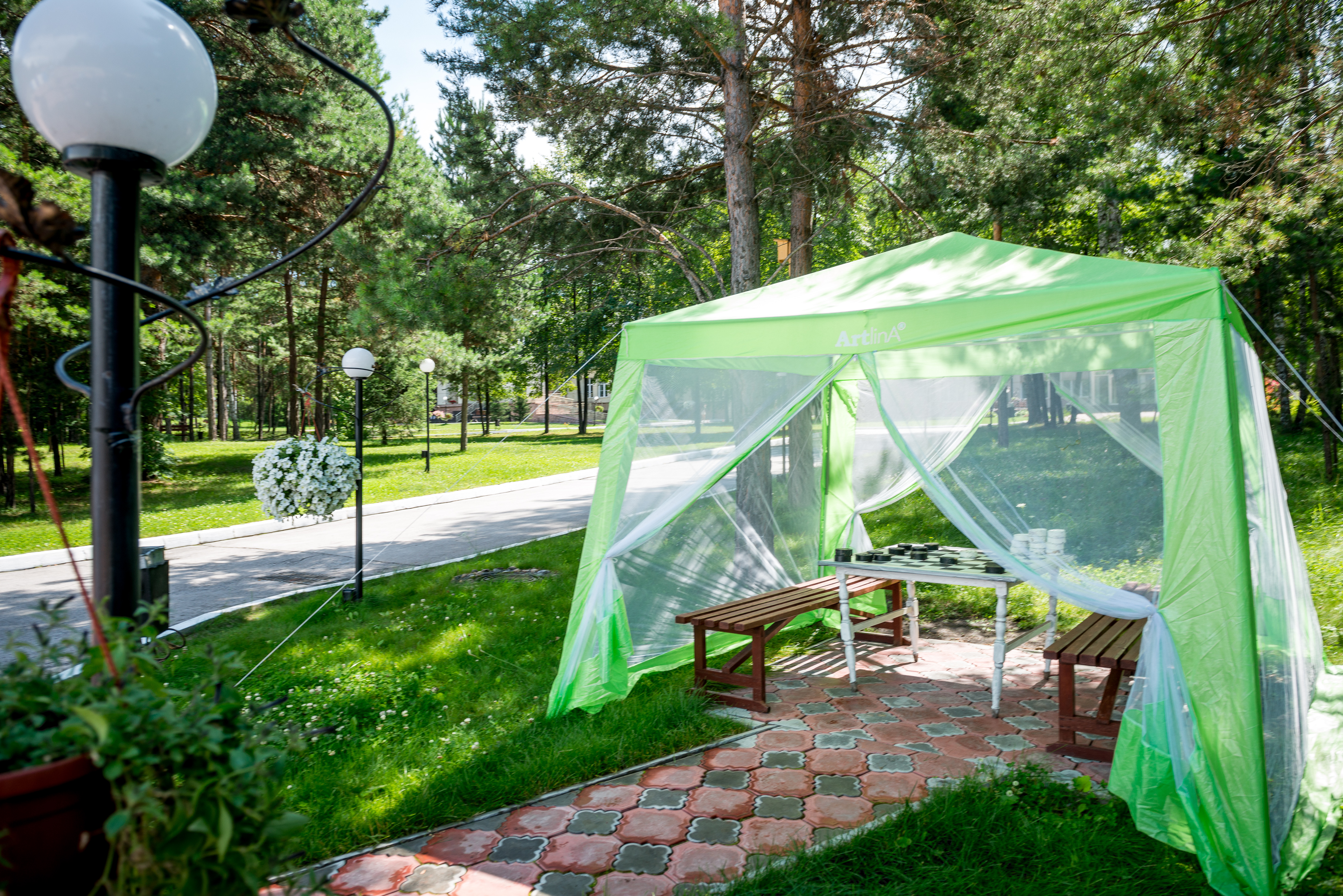 Фото Борвиха