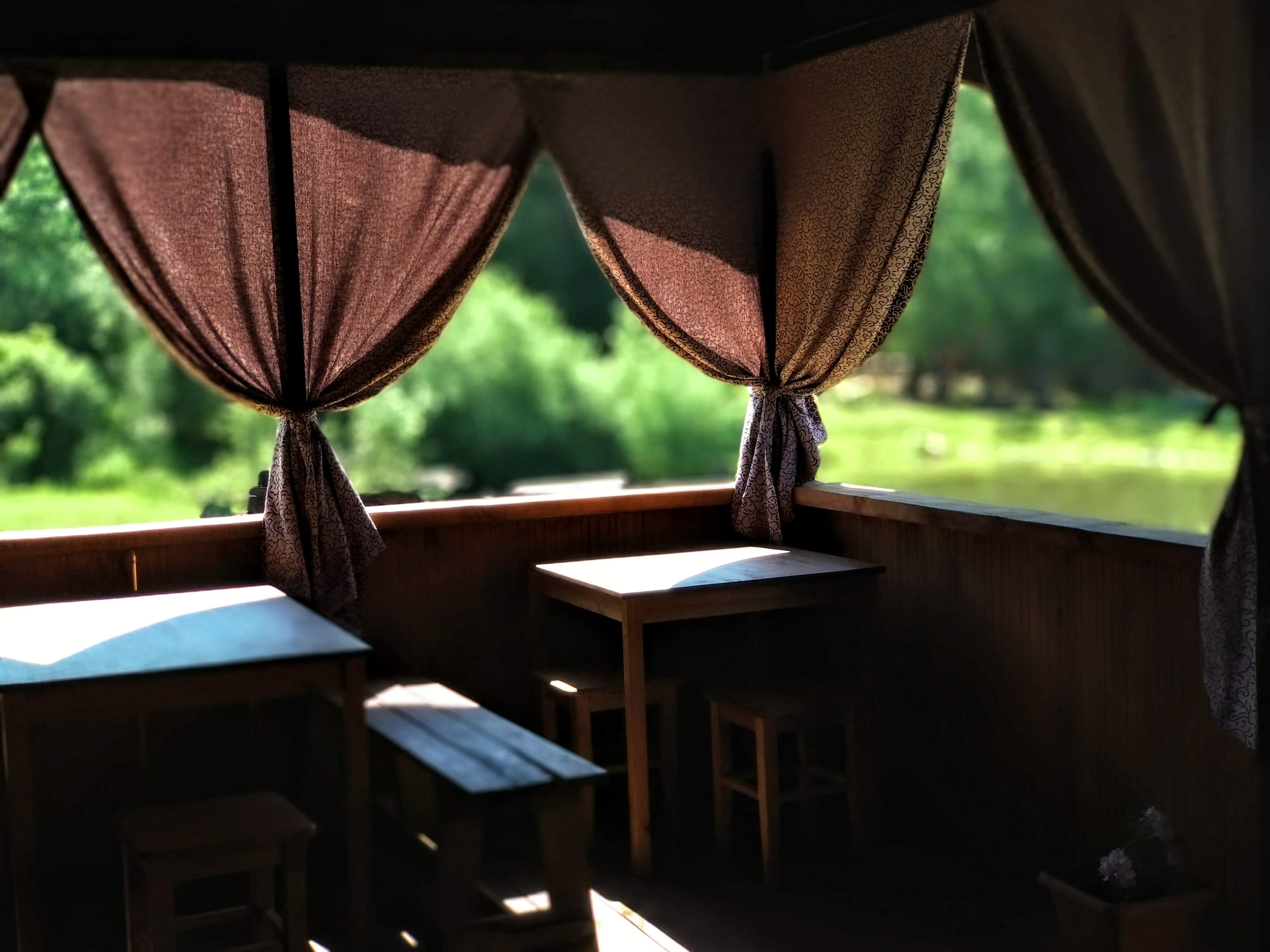 Фото Медная Сова