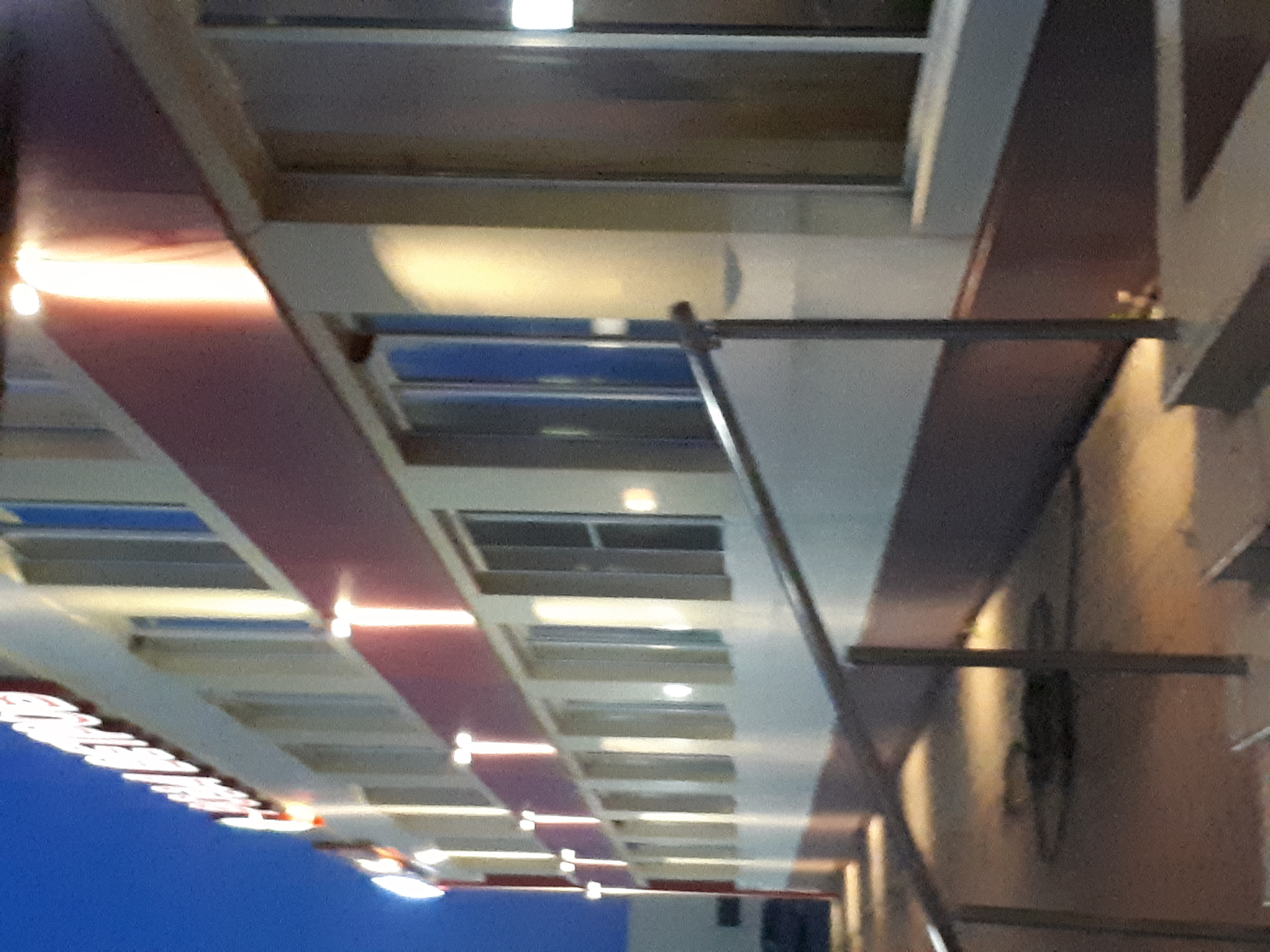 Фото Роза Ветров