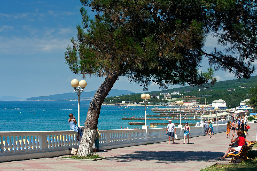 Фото Николетта