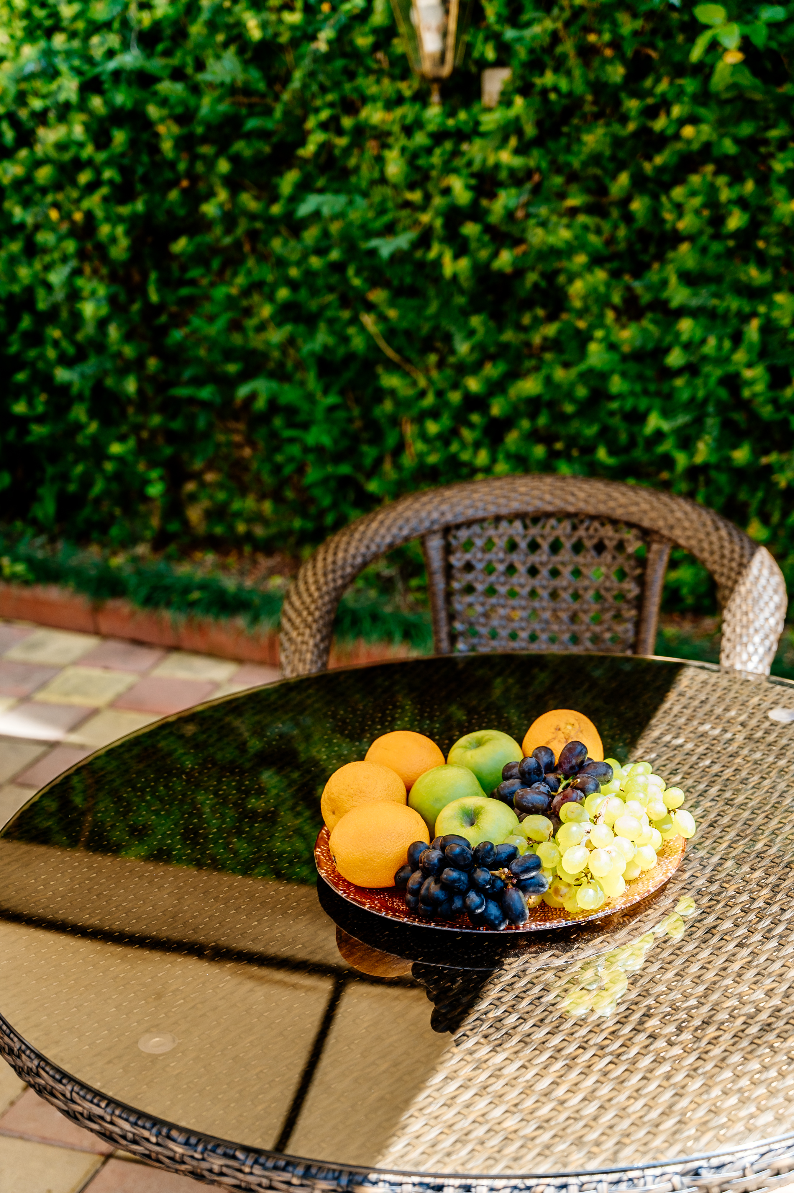 Фото Талассо