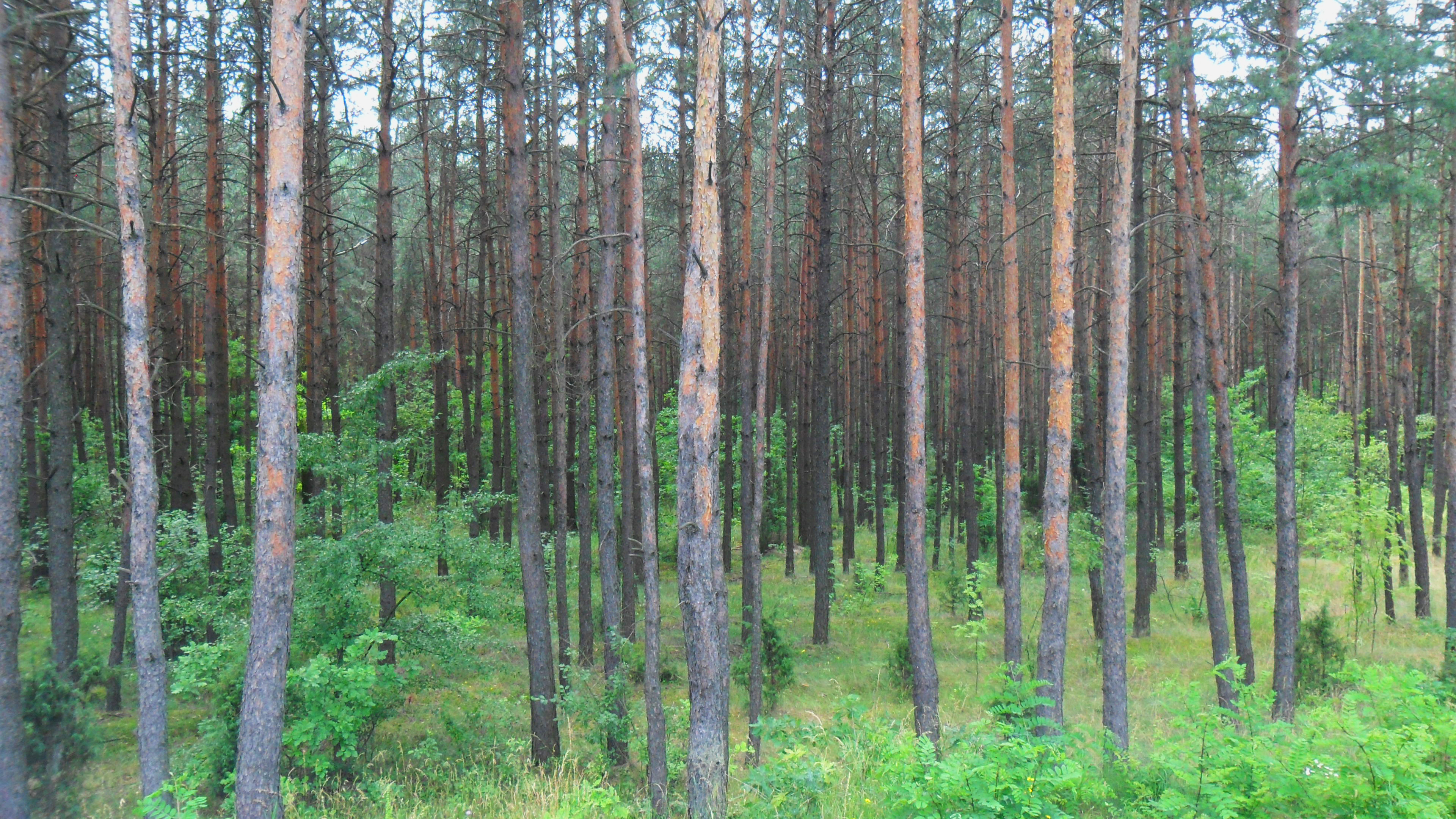 Фото Cottage at Utrennyaya Street