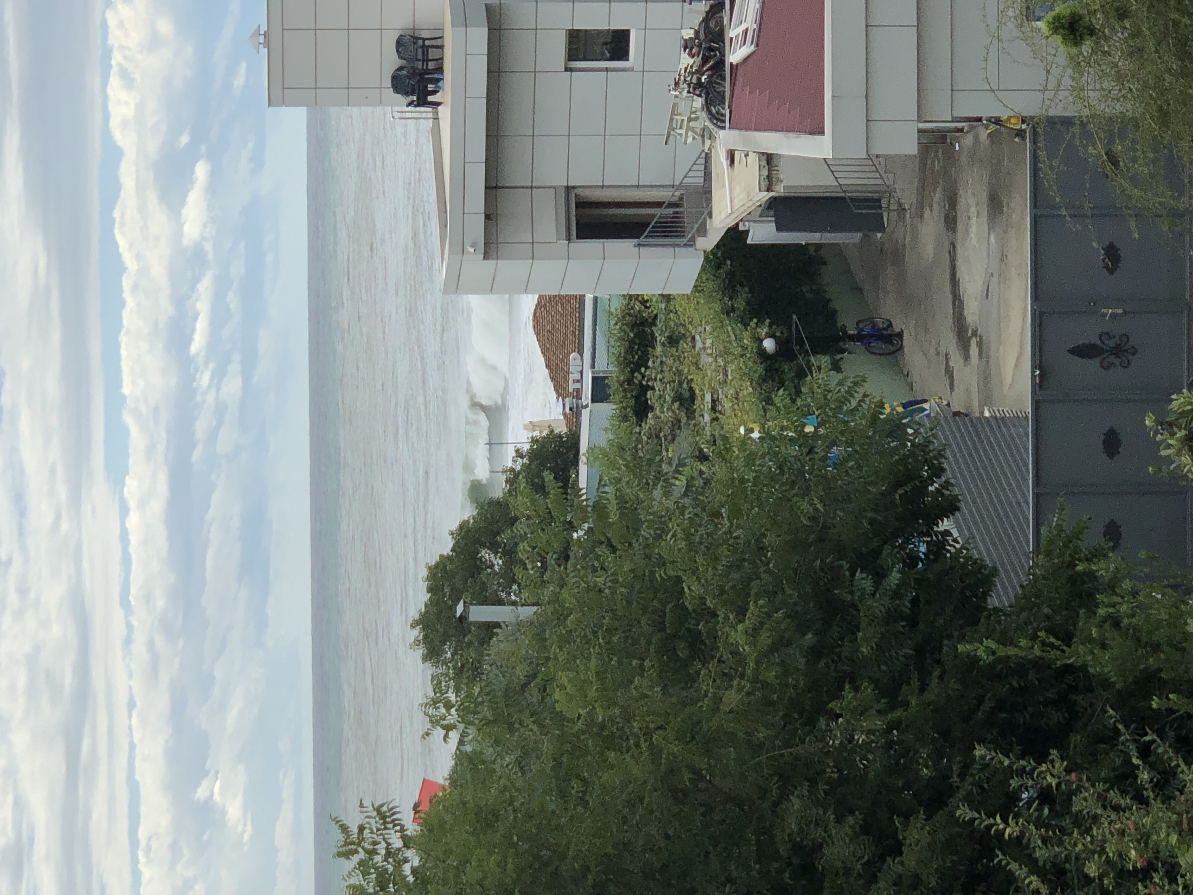 Фото Парадиз