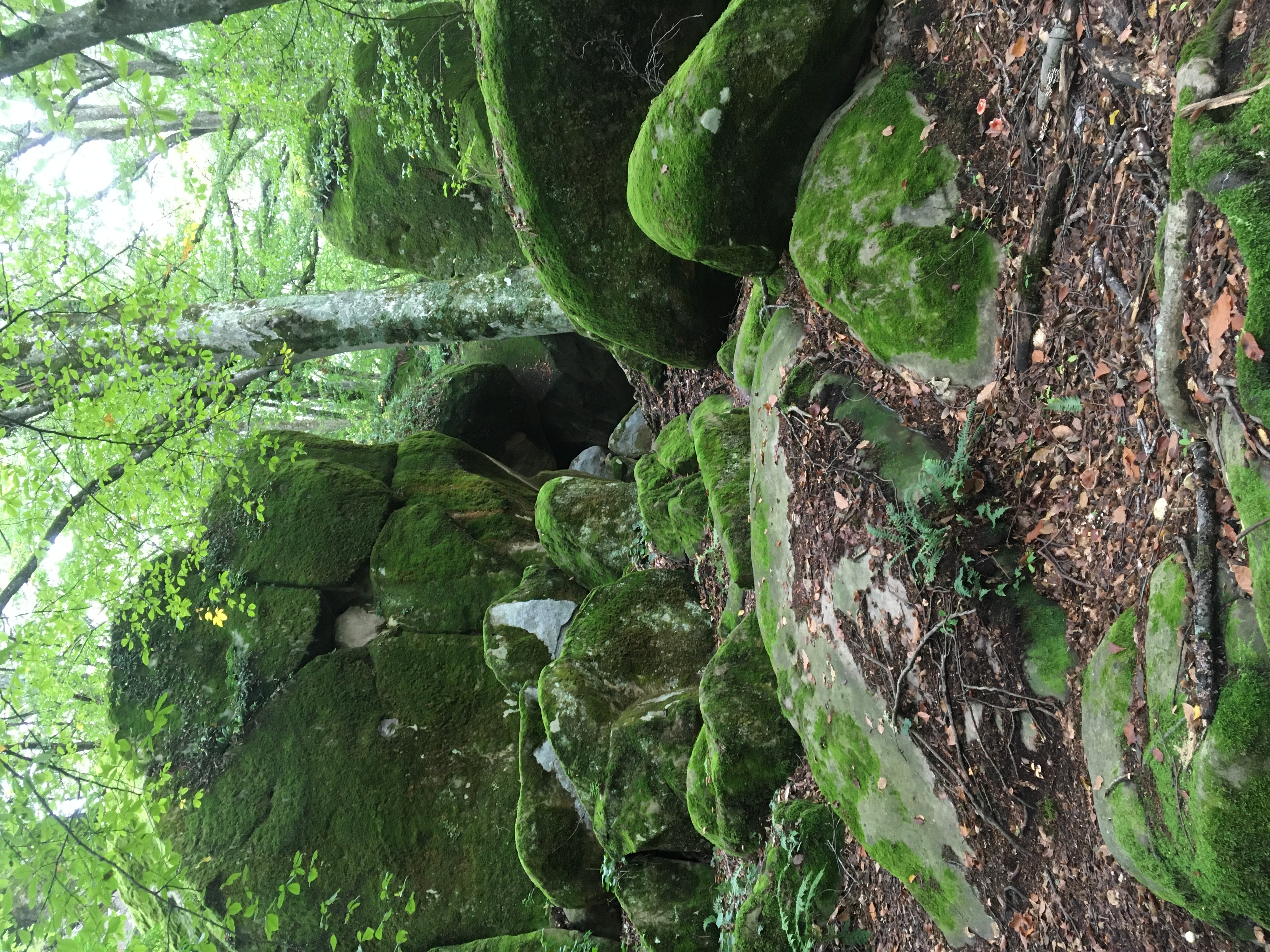 Фото Восход