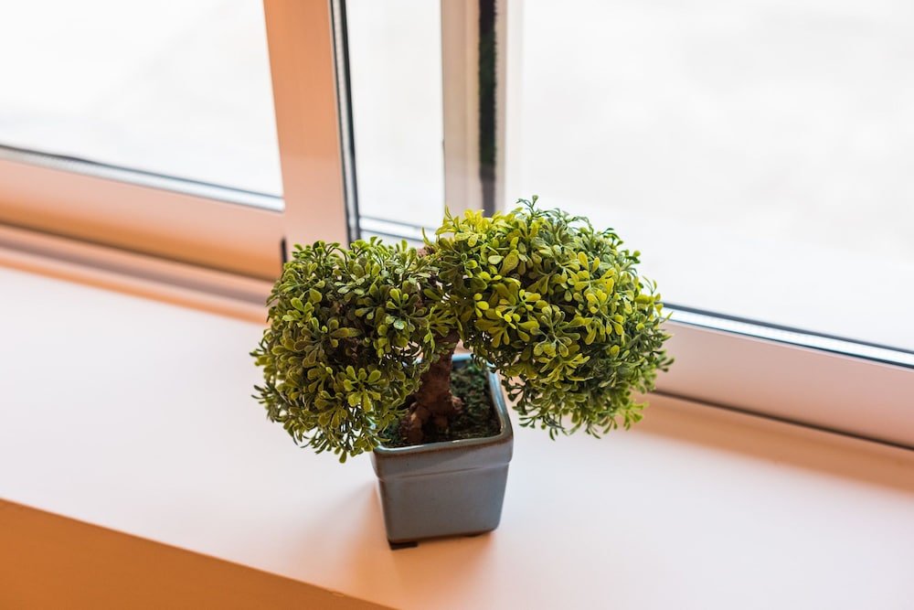 Фото Porto Island