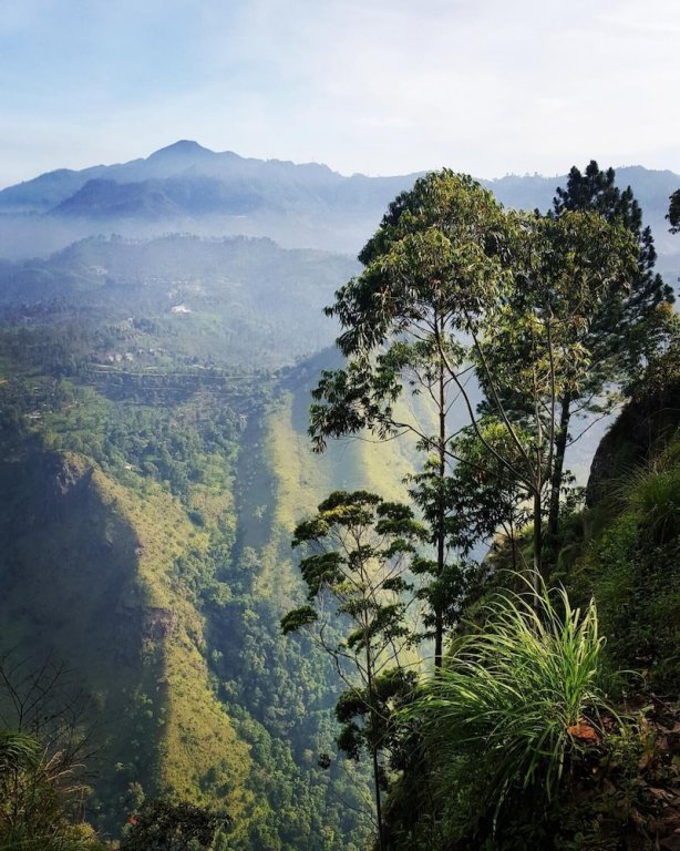 Фото Ëlla Breeze Homestay