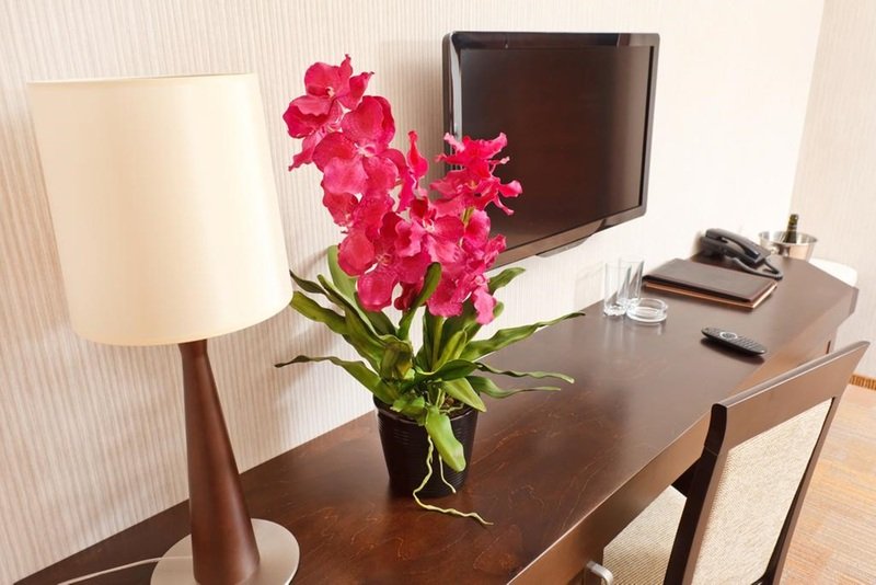 Фото Intercity Curitiba Centro Cívico