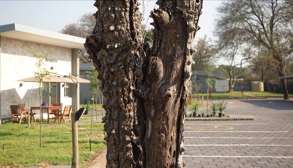 Фото Sandpiper Villas Chobe