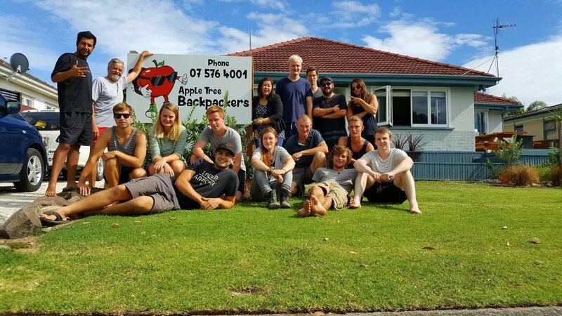 Гостиница Apple Tree Backpackers - Hostel