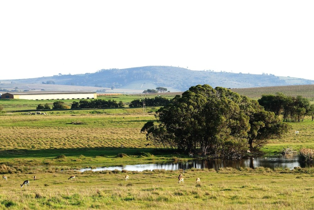 Фото Wild Clover Cottages