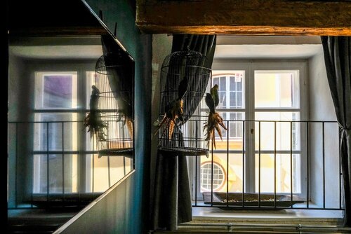 Апартаменты Blacksmith Old Town в Таллине