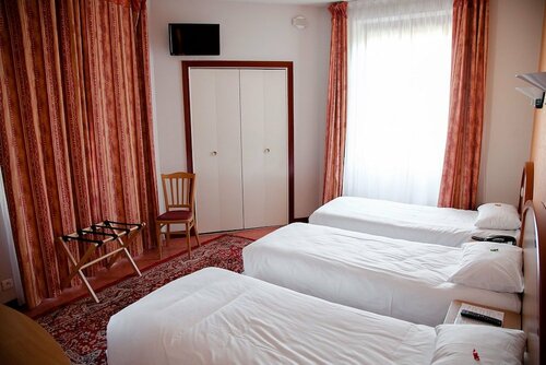 Гостиница Hôtel du Commerce в Рьоне
