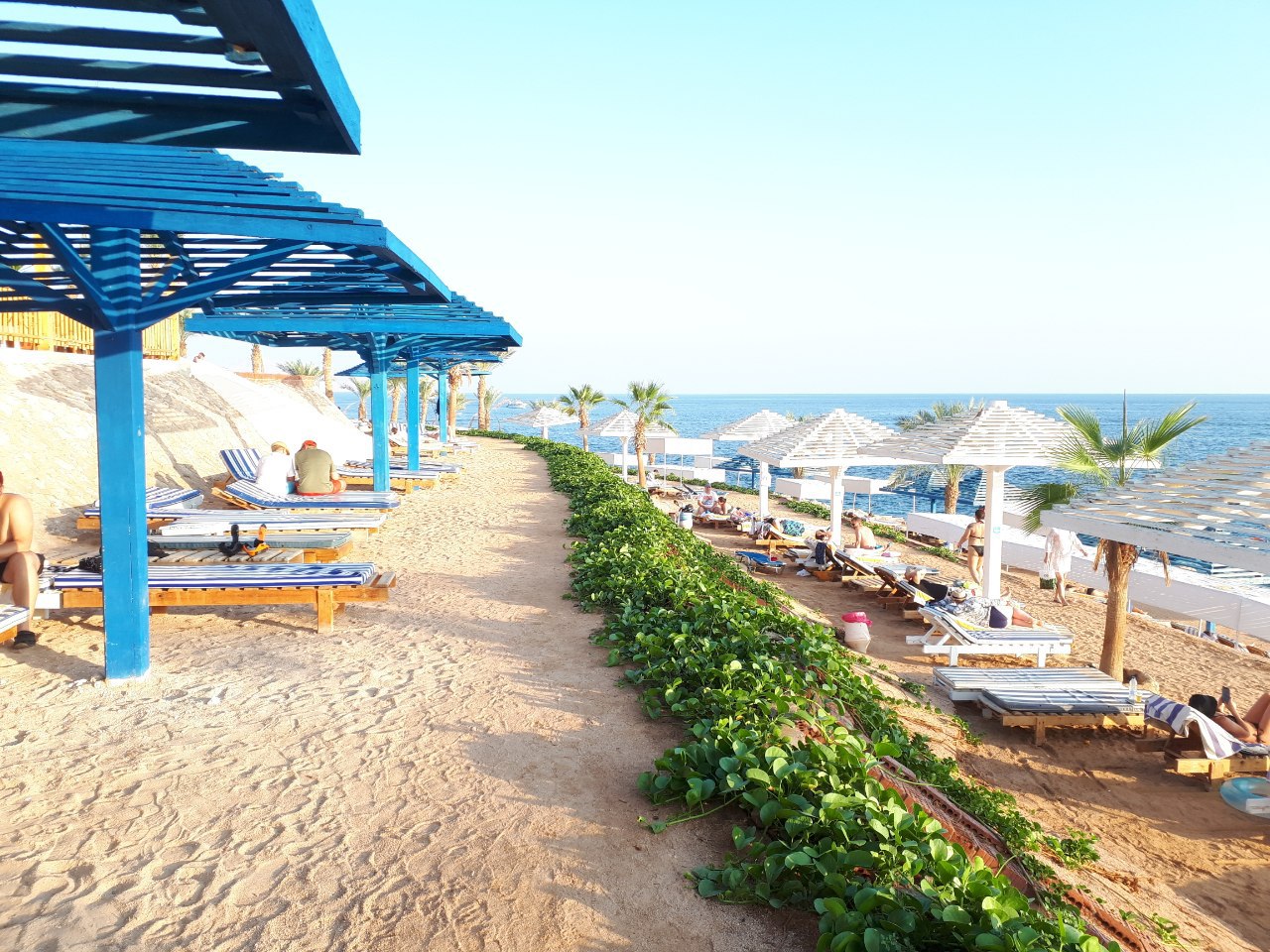 Фото Grand Oasis Resort