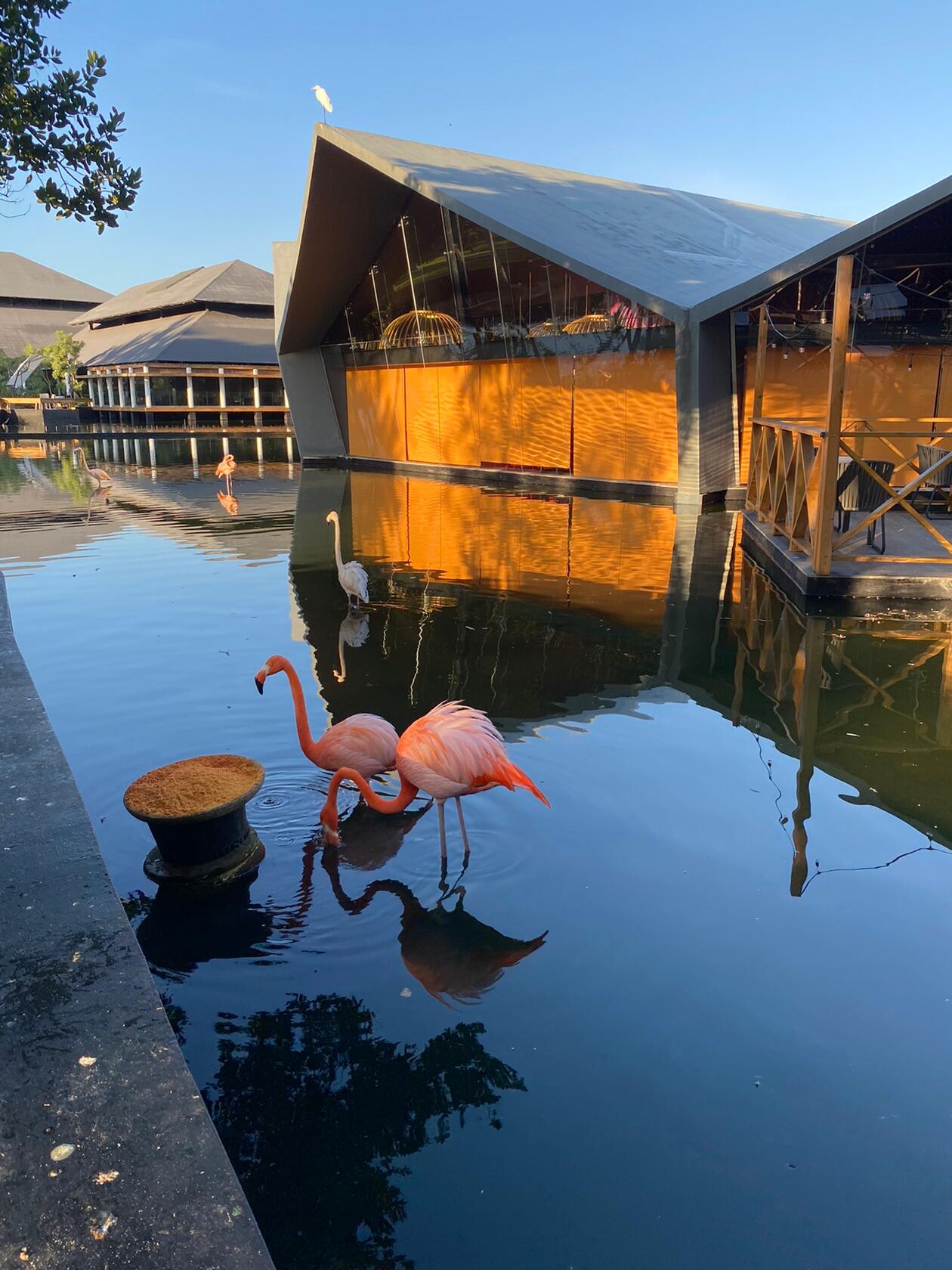 Фото Bavaro Princess Resort SPA And Casino