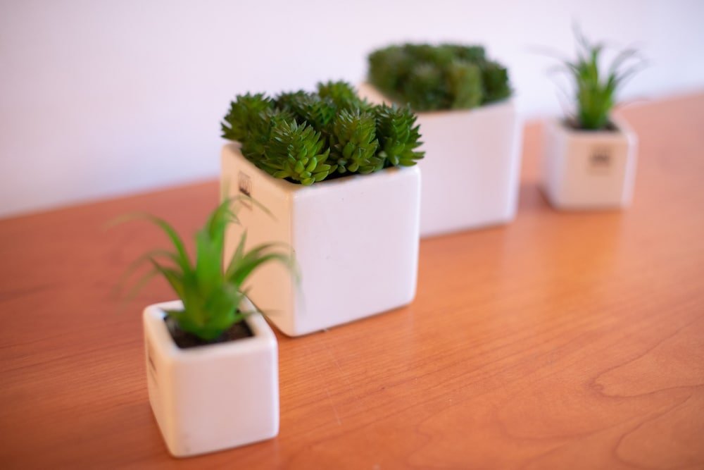 Фото Lambertesca il Cuore di Firenze