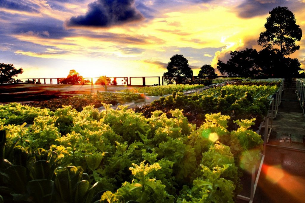 Фото Sylvan Koh Chang