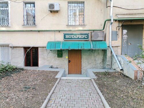 Екі есек порно есектер