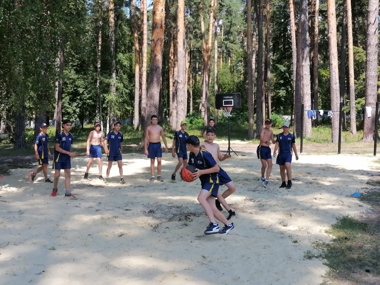 Фото ПроЛес