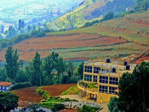 Tulips Valley View Resorts