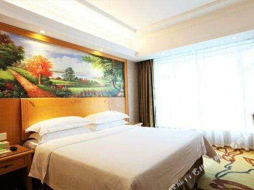 Гостиница Vienna Hotel Shenzhen Dalang Clothing Base Branch в Шэньчжэне
