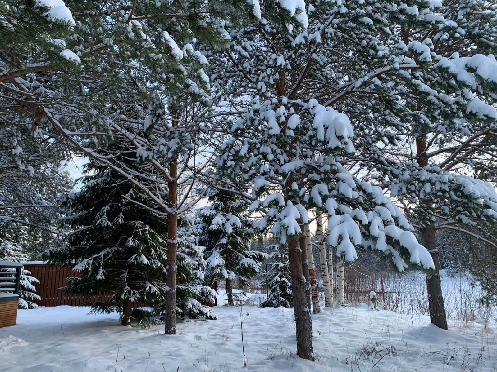 Фото Harland Village