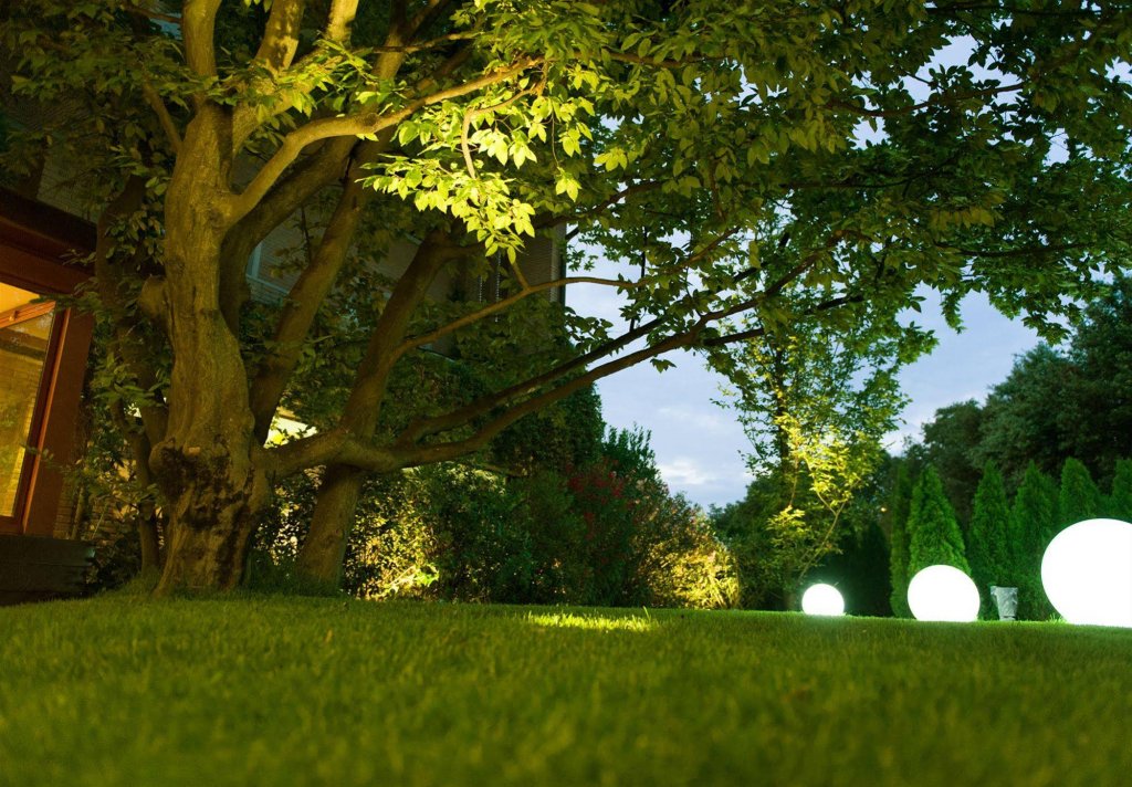 Фото Hotel Ai Gelsi