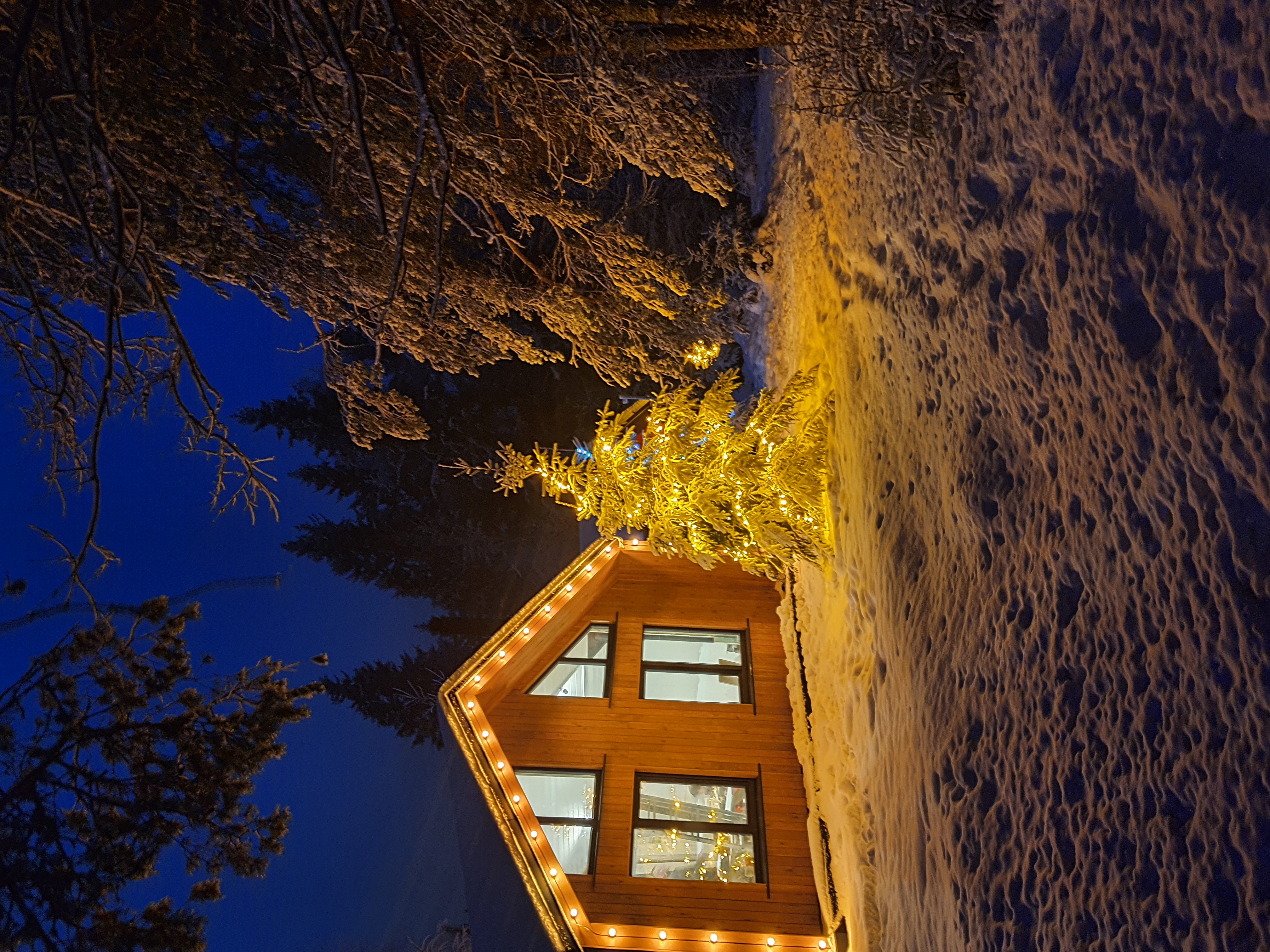 Фото ДомДомВалдай