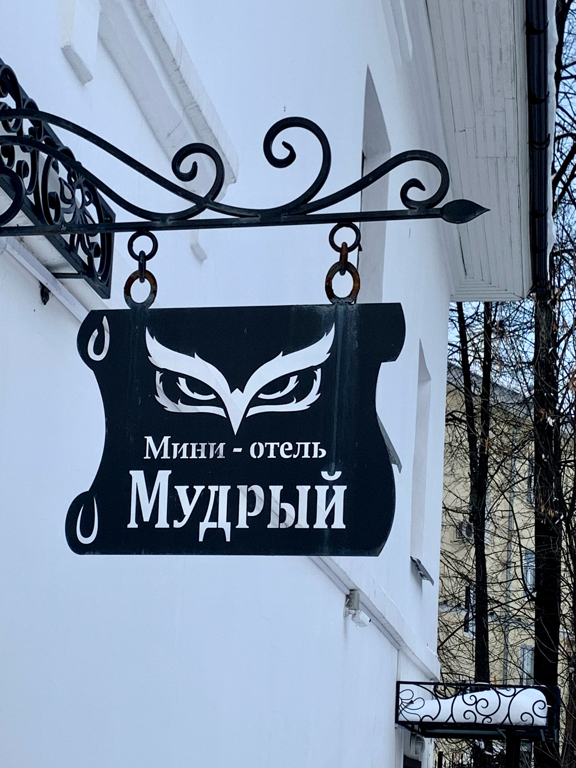 Фото Мудрый Филин