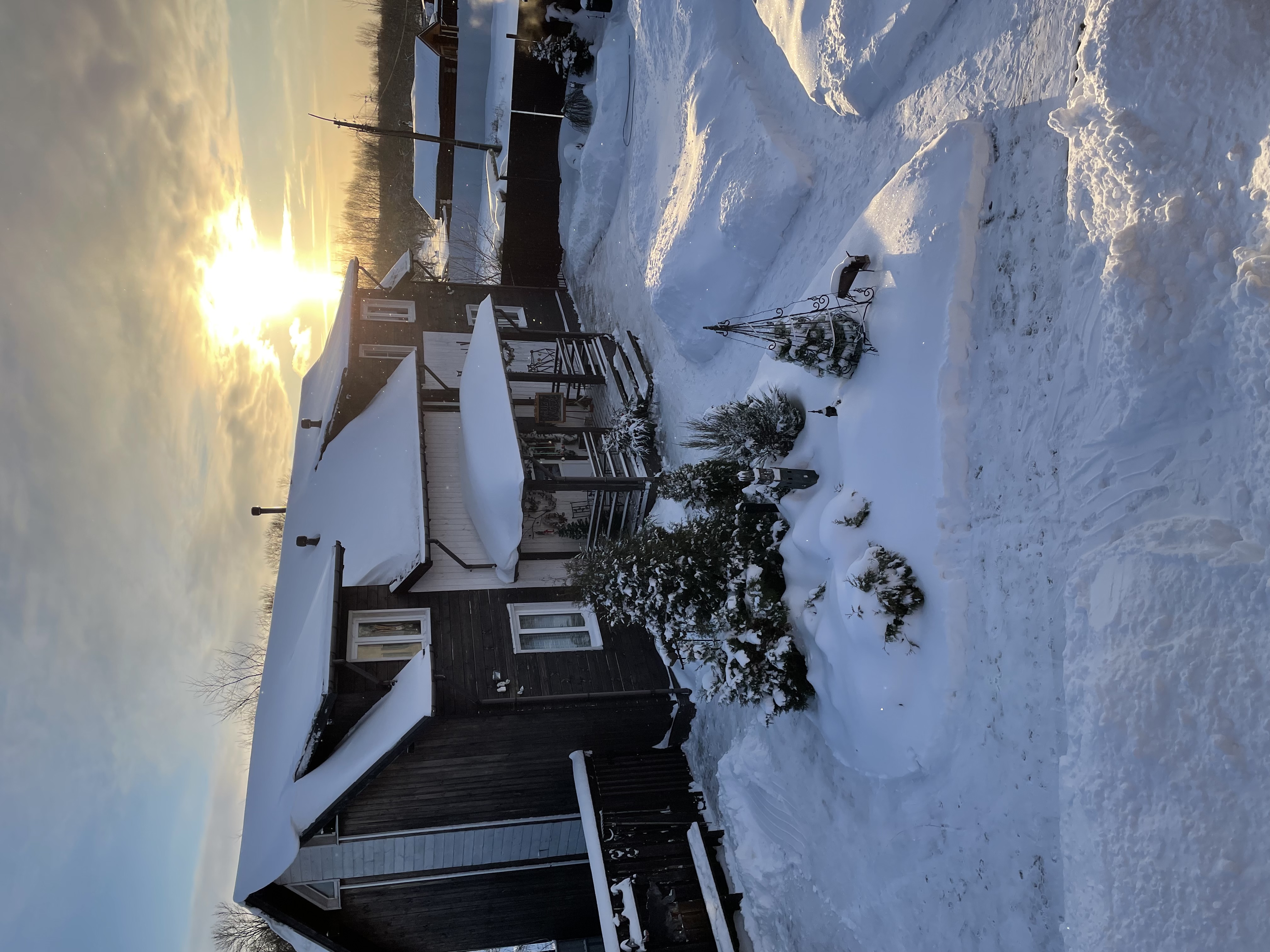 Фото Берлога