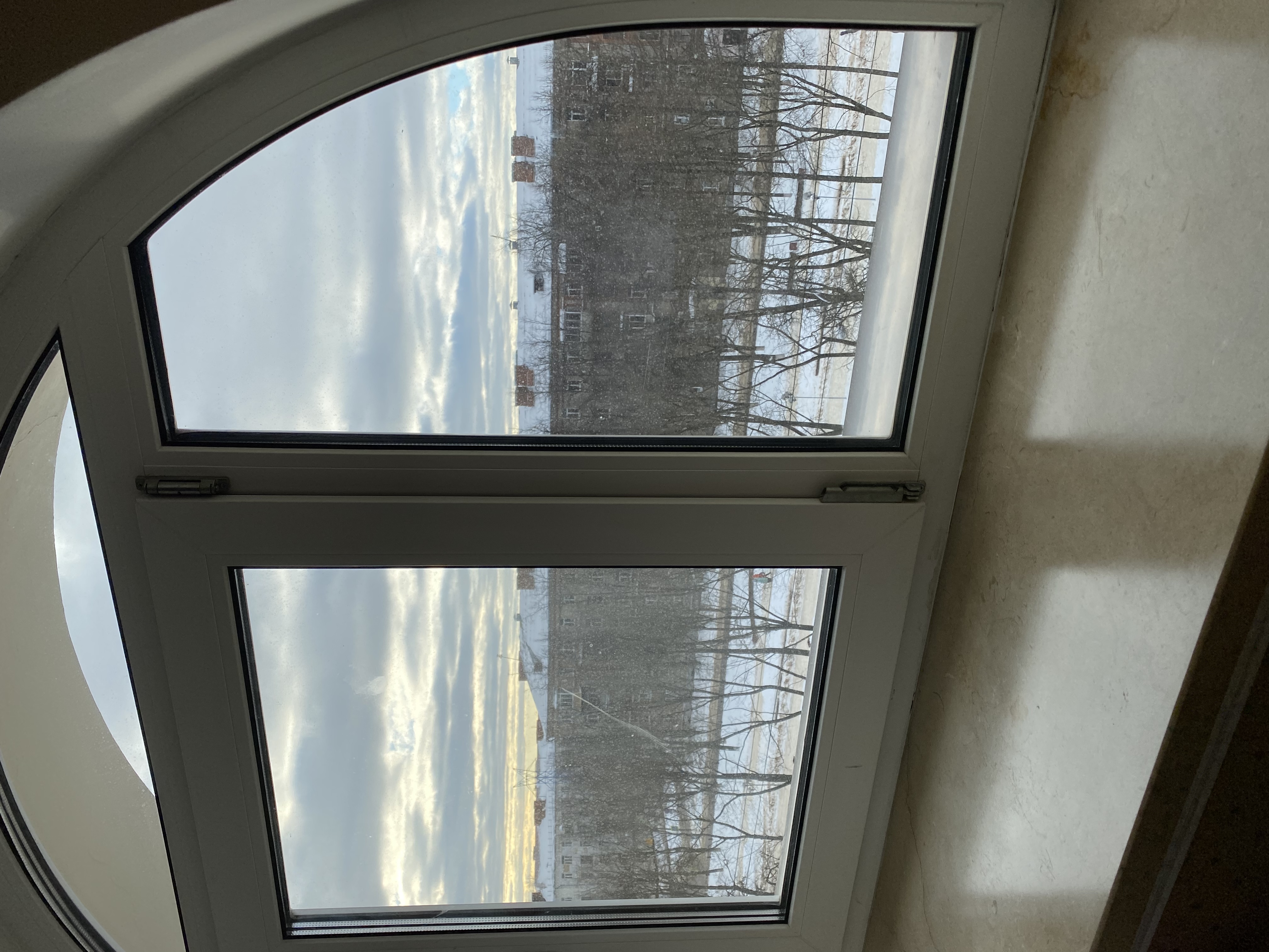 Фото Дружба