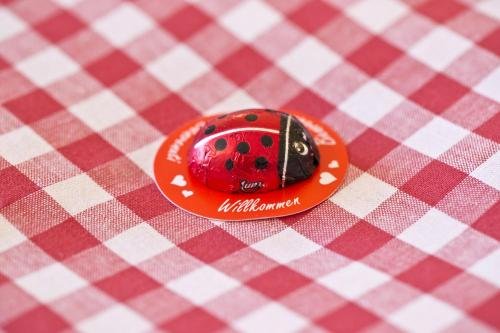 Фото Alphotel Mittersill